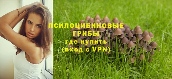 mdpv Заволжье