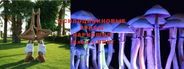 кокаин премиум Заводоуковск