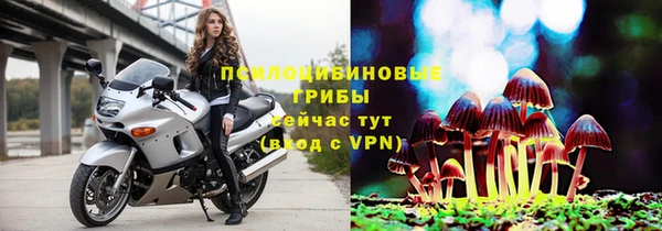 кокаин премиум Заводоуковск