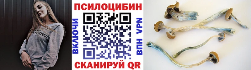 Псилоцибиновые грибы GOLDEN TEACHER Лермонтов