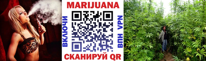 Купить где  Лермонтов  МАРИХУАНА ГИДРОПОН 
